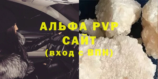 индика Новый Уренгой