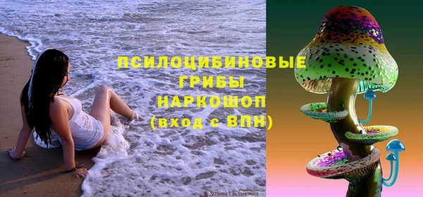 гидропоника Кукмор