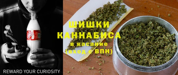 МДПВ Домодедово