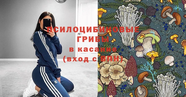 гидропоника Кукмор